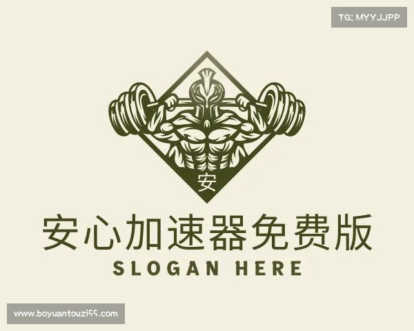 认识安心加速器免费版